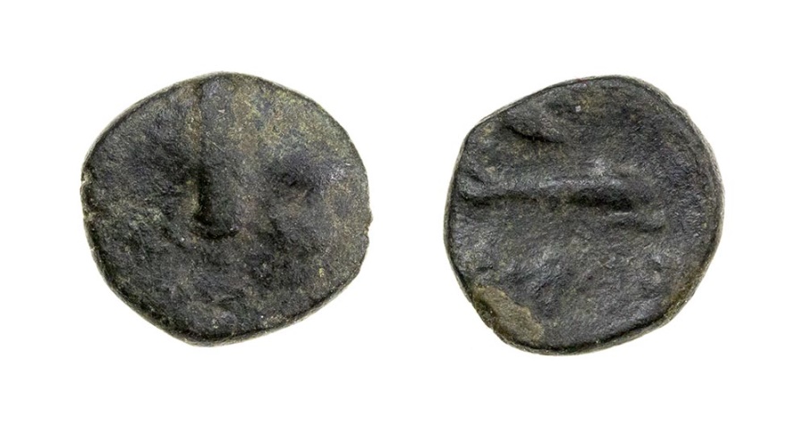 Coins-Of-Olbia:-Date?